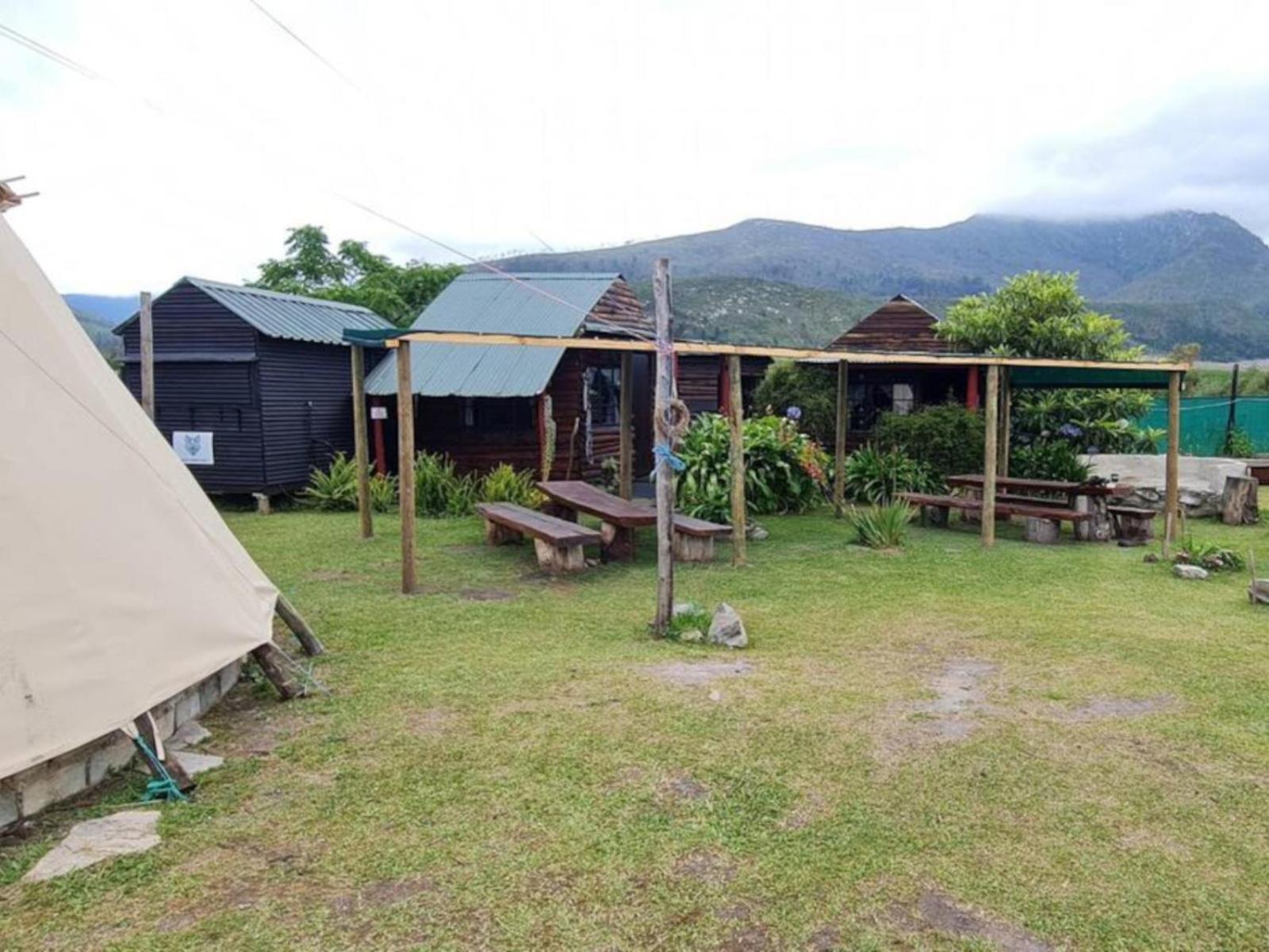 Tsitsikamma Wolf Sanctuary Eco Cabins & Teepees Stormsrivier Exterior photo