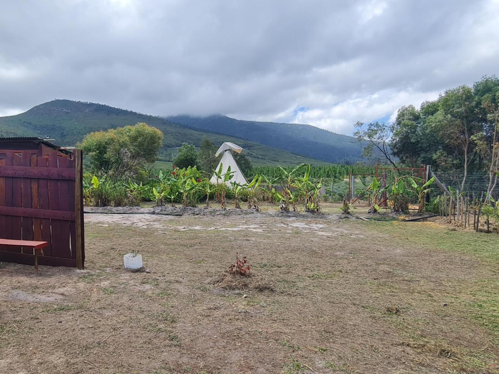 Tsitsikamma Wolf Sanctuary Eco Cabins & Teepees Stormsrivier Room photo